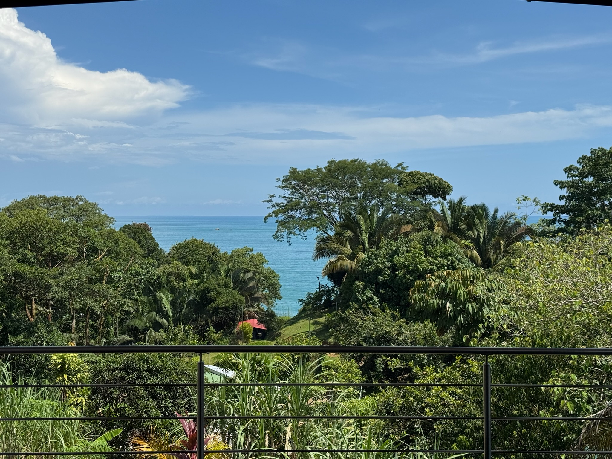 Golden hour on the terrace